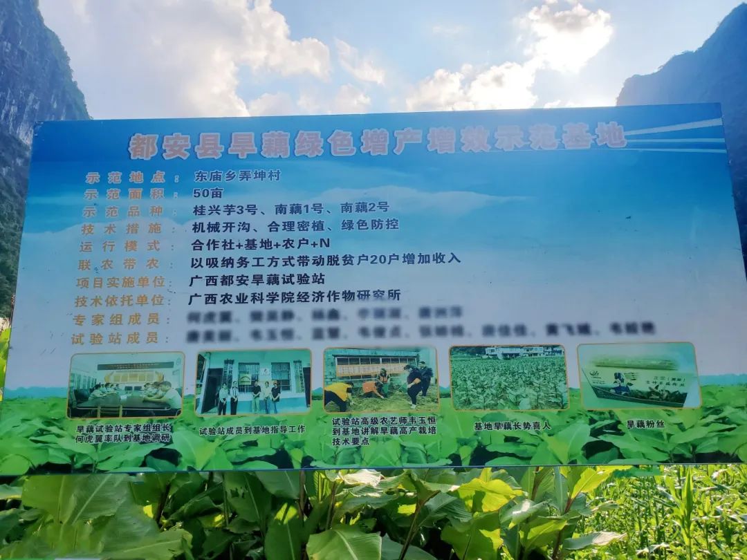 12084b401890110fc113d591407312d0.jpg 12084b401890110fc113d591407312d0.jpg