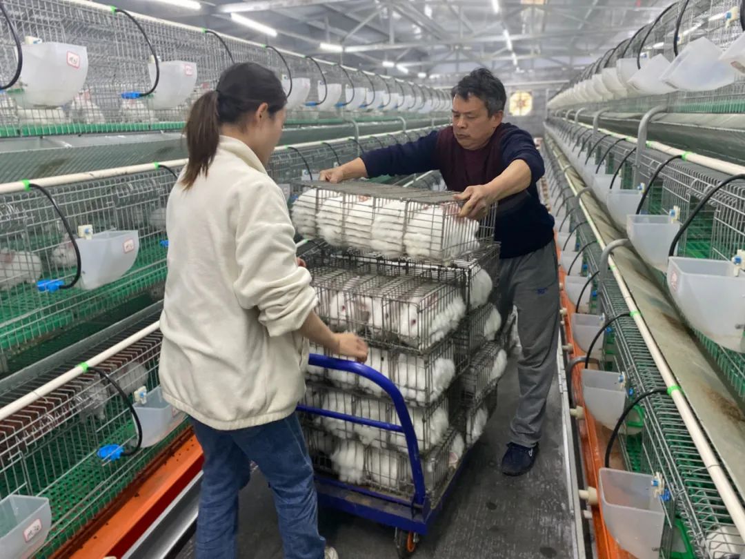 64011.jpg MGMÃÀ¸ß÷(Macau)¹É·ÝÓÐÏÞ¹«Ë¾